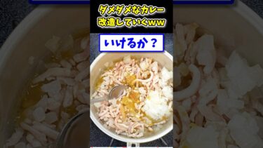 【2ch面白キッチン】【2ch面白いスレ】ダメダメなレトルトカレーを美味しくしたいんやwww