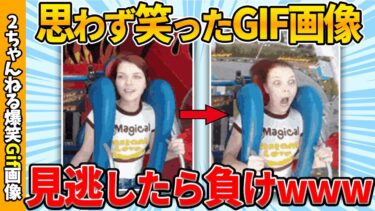 【ゆっくり爆笑図鑑】【おもしろgif総集編】笑いなしでは見られない！面白gif画像集ww 【コメ付き】【ゆっくり解説】【2chスレ】【5ch】