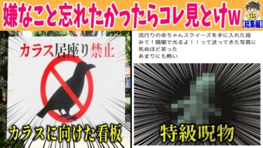 【2chバラエティ】【総集編】１０分でストレスから開放される動画になったぞwww笑ったら寝ろwww【ゆっくり】