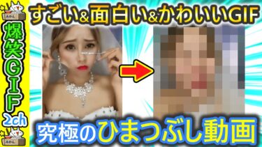 【5ちゃんねこ】えまって♪ひまつぶし動画最高なんだけどwww 2ch 笑い