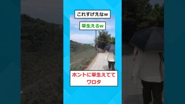 【2chホウソウキョク】【2ch面白いスレ】この画像から手前の人を消して欲しいです！！！！！