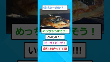 【2chホウソウキョク】【2ch面白いスレ】人生初のピザ焼く！！