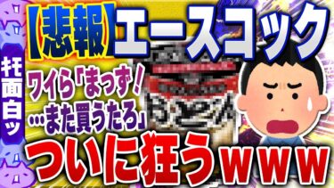 【ハチとオシン 】【ｷﾓ面白い2chスレ】【悲報】エースコック、狂うｗｗｗｗｗｗｗｗｗｗｗ【ゆっくり解説】