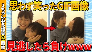 【ゆっくり爆笑図鑑】【おもしろgif】思わず笑ってしまう傑作gif画像厳選したぞww by 2ch【コメ付き】【ゆっくり解説】【2chスレ】【5ch】#211