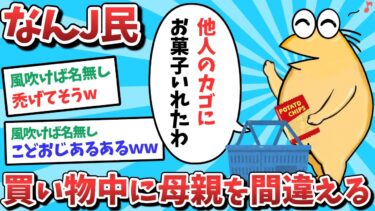 【俺たち天才なんJ民】【悲報】なんJ民、買い物中に母親を間違えてしまうｗｗｗ【2ch面白いスレ】【ゆっくり解説】