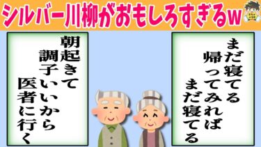 【2chバラエティ】【25連発】シルバー川柳がツッコミどころ満載すぎたwww笑ったら寝ろwww【ゆっくり】