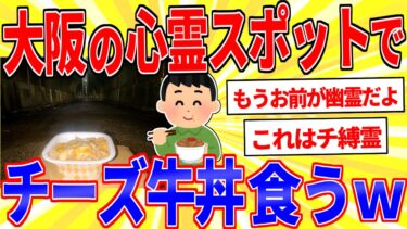 【鉄人28匹ギコ&しぃ】大阪の心霊スポットでチーズ牛丼食うｗｗｗ【2ch面白いスレゆっくり解説】