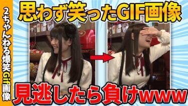 【ゆっくり爆笑図鑑】【おもしろgif】何度見ても笑えるおもしろgif画像ww by 2ch【コメ付き】【ゆっくり解説】【2chスレ】【5ch】#216