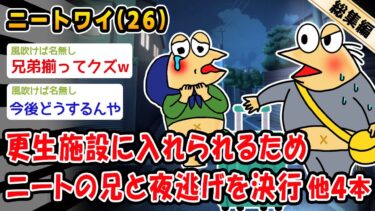 【2chおバカ問題児】【バカ】更生施設に入れられるためニートの兄と夜逃げを決行。他4本を加えた総集編【2ch面白いスレ】