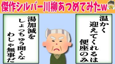 【2chバラエティ】【22連発】なんでシルバー川柳はこんなにおもしろいんだwww笑ったら寝ろwww【ゆっくり】