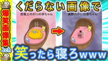 【5ちゃんねこ】【爆笑】くだらない画像で笑ったら寝ろ‼ 2ch ガルちゃん