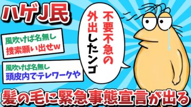 【俺たち天才なんJ民】【悲報】ハゲJ民、髪の毛に緊急事態宣言が出てしまうｗｗｗ【ゆっくり解説】