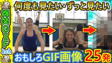 【5ちゃんねこ】【おもしろGIF】おまいらが好きなGIFを貼れ‼ 2ch ガルちゃん