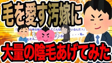 【2chで笑いを叫ぶ】毛を愛す汚嫁に大量の陰毛あげてみた【2ch修羅場スレ】