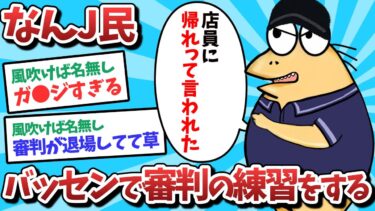 【俺たち天才なんJ民】なんJ民、バッセンで審判の練習をしてしまうｗｗｗ