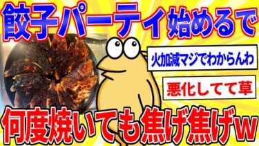 【鉄人28匹ギコ&しぃ】餃子パーティー始めるで！スレ民手作り餃子うｐスレ【2ch面白いスレゆっくり解説】