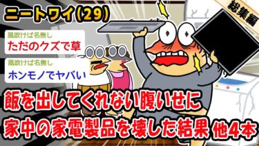 【2chおバカ問題児】【バカ】飯を出してくれない腹いせに家中の家電製品を壊した結果。他4本を加えた総集編【2ch面白いスレ】