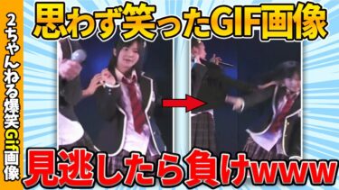 【ゆっくり爆笑図鑑】【おもしろgif】思わず爆笑したおもしろgif画像ww by 2ch【コメ付き】【ゆっくり解説】【2chスレ】【5ch】#215