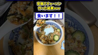 【2ch面白キッチン】【2ch面白いスレ】安価でチャーハン作った結果www