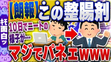 【ハチとオシン 】【ｷﾓ面白い2chスレ】【衝撃】ワイ、本気出して腸内環境を整えた結果、すごいことになるwww【ゆっくり解説】