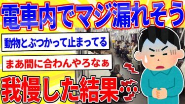 【鉄人28匹ギコ&しぃ】電車の中だけどマジでう●こ漏れそう【2ch面白いスレゆっくり解説】