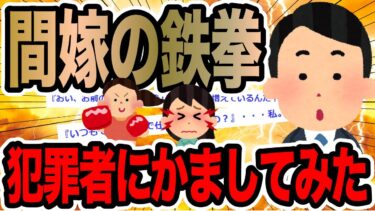 【2chで笑いを叫ぶ】間嫁の鉄拳犯罪者にかましてみた【2ch修羅場スレ】