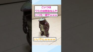 【2chが好きなんだお】【2ch面白いスレ】ボッチワイ、こいつのおかげで人生辛くないｗ