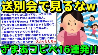 【ゆっくり君の2ch】【2ch面白いスレ】ざまあコピペでスカッとしようぜ！気分痛快なコピペ16連発！【ゆっくり解説】