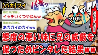 【2ch人情屋台】【バカ】態度の悪い妹に兄の威厳を保つためビンタした結果ww【2ch面白いスレ】