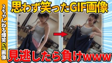 【ゆっくり爆笑図鑑】【2chおもしろgif】傑作gif画像集で笑ったら寝ろww by 2ch【コメ付き】【ゆっくり解説】【2chスレ】【5ch】#226