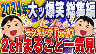 【ハチとオシン 】【総集編 ｷﾓ面白い2chスレ】2024年大爆笑人気動画ベストランキングTop10まとめ【ゆっくり解説】