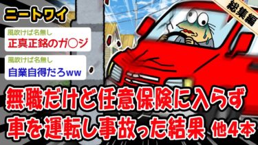 【2chおバカ問題児】【バカ】無職だけど任意保険に入らず車を運転し事故った結果。他4本を加えた総集編【2ch面白いスレ】