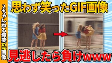 【ゆっくり爆笑図鑑】【2chgif】おもしろgif画像で吹いたら負けww by 2ch【コメ付き】【ゆっくり解説】【2chスレ】【5ch】#229