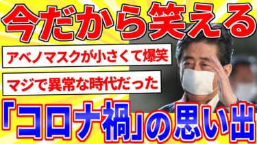 【鉄人28匹ギコ&しぃ】今思うとおかしかった「コロナ禍」の思い出【2ch面白いスレゆっくり解説】