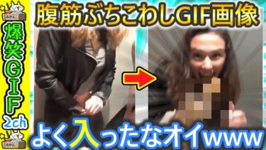 【5ちゃんねこ】【笑ったら寝ろ】カメラが捉えたおもしろGIF動画 2ch