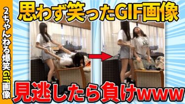 【ゆっくり爆笑図鑑】【2chgif】何度でも笑えるおもしろgif画像ww by 2ch【コメ付き】【ゆっくり解説】【2chスレ】【5ch】#224