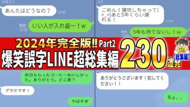 【2chバラエティ】【一挙放送】2024年オカン達の爆笑誤字LINE傑作選www笑ったら寝ろwww【ゆっくり】