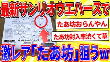 【鉄人28匹ギコ&しぃ】最新サンリオウエハース買ったからトップレア「みんなのたあ坊」狙うぞｗｗｗ【2ch面白いスレゆっくり解説】