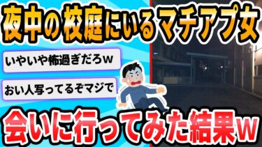 【2chが好きなんだお】【2ch面白いスレ】出会い系アプリで小学校の校庭で動かない人がいるので見にいってみる