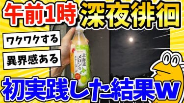 【2ch面白キッチン】【2ch面白いスレ】午前1時に深夜徘徊！初決行した結果ww