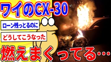 【鉄人28匹ギコ&しぃ】ワイのマツダCX-30激しく燃えてしまう…【2ch悲報スレ】