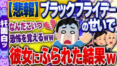 【ハチとオシン 】【ｷﾓ面白い2chスレ】【悲報】ワイ、ブラックフライデーのせいで二年付き合った彼女にふられてしまう【ゆっくり解説】