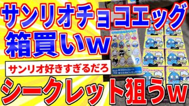 【鉄人28匹ギコ&しぃ】サンリオのチョコエッグを箱買いw開封してくｗｗｗ【2ch面白いスレゆっくり解説】