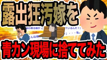 【2chで笑いを叫ぶ】露出狂汚嫁を青カン現場に捨ててみた【2ch修羅場スレ】