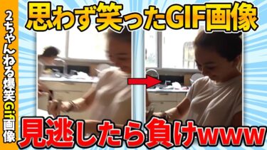 【ゆっくり爆笑図鑑】【2chgif】おもしろgif画像で笑ったら寝ろww by 2ch【コメ付き】【ゆっくり解説】【2chスレ】【5ch】#232