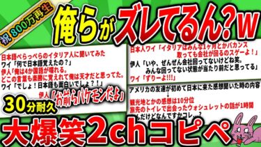 【2chウサバラ】【800万人が笑った!!】日本人「もしかして俺らがズレてる？」世界「自覚なかったん？」【大総集編】