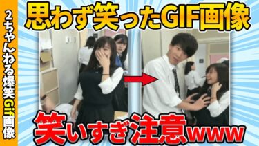 【ゆっくり爆笑図鑑】【おもしろgif】2chで拾ったおもしろgif画像集めたぞww by 2ch【コメ付き】【ゆっくり解説】【2chスレ】【5ch】