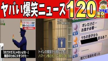 【2chバラエティ】【一挙放送】2024年に紹介した爆笑ニュース全１２０件まとめwww笑ったら寝ろwww【ゆっくり】