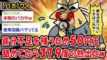 【2ch人情屋台】【バカ】鉄分不足を補うため50円玉舐めてたら37.9度の熱出たww【2ch面白いスレ】