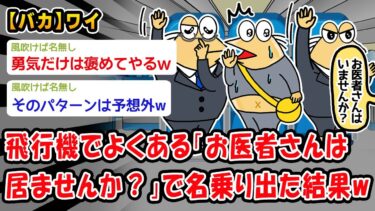 【2chおバカ問題児】【バカ】飛行機でよくある「お医者さんは居ませんか？」で名乗りでたった結果ww【2ch面白いスレ】